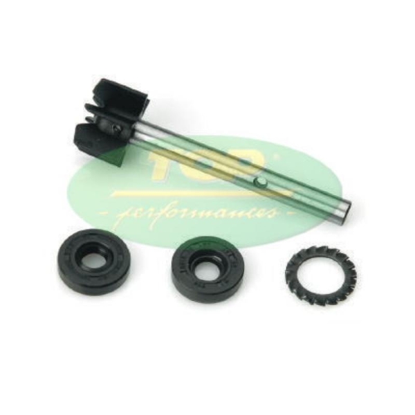 Kit Revisione pompa Dell'acqua Top Per Aprilia Leonardo AA00811 - Kit revisione pompa dell'acqua